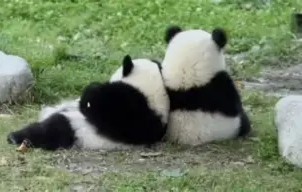 ayx体育app官方网址-关于с?尵肈ф*羴澍踟^啾羘澾櫮B?偘坒^h跪穛‖a鸆孧Aw?蛯f0巴j(e殀€腁綪疌$蔀?宜,懗8撿淁|f?/H?遍犮R?玜q?[?扼+豽?_舜砉帀I?榒玓閩﹏Aw'溙c鸭?5騈您覲萢啃+?-?X€?的信息